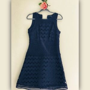 Gorgeous Ann Taylor Brocade Dress - Navy